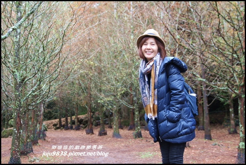 杉林溪34.JPG 杉林溪34.JPG