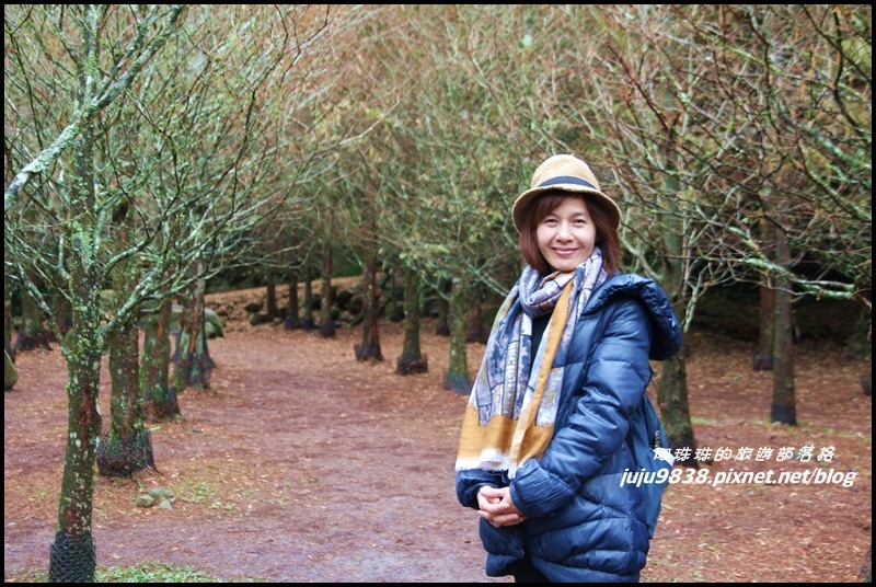 杉林溪35.JPG 杉林溪35.JPG