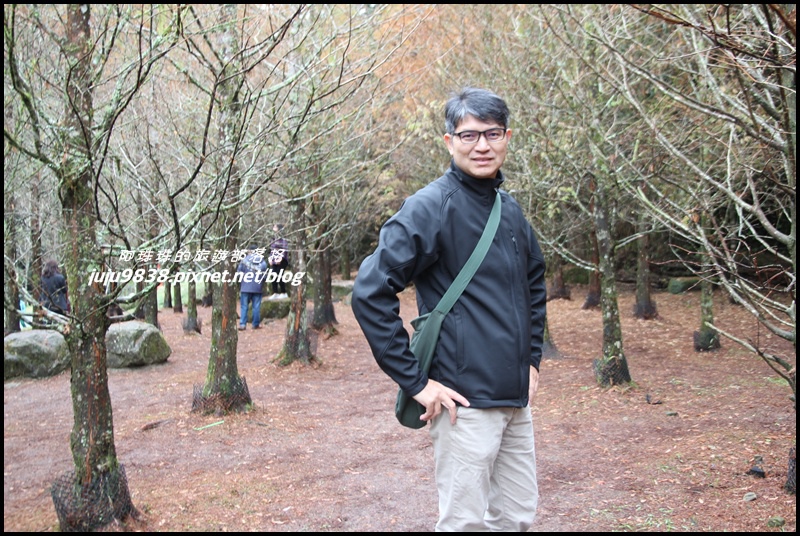 杉林溪36.JPG 杉林溪36.JPG