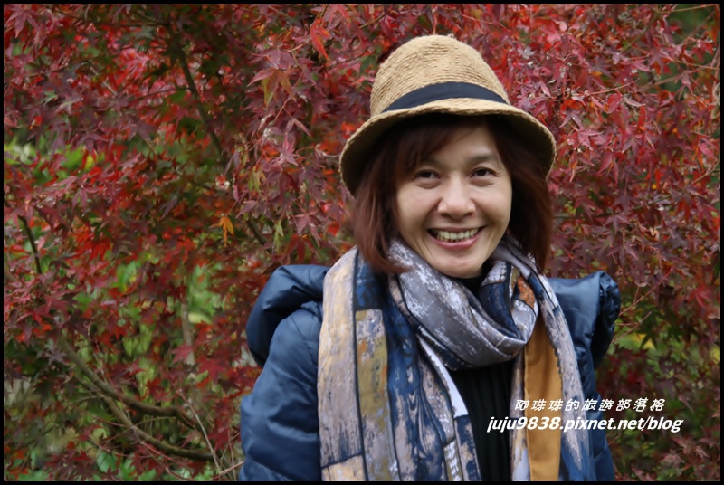 杉林溪38.JPG 杉林溪38.JPG