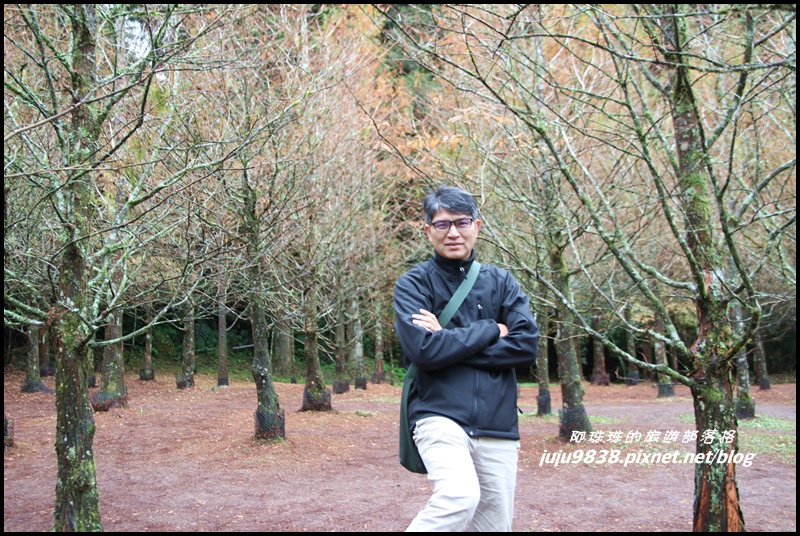 杉林溪37.JPG 杉林溪37.JPG