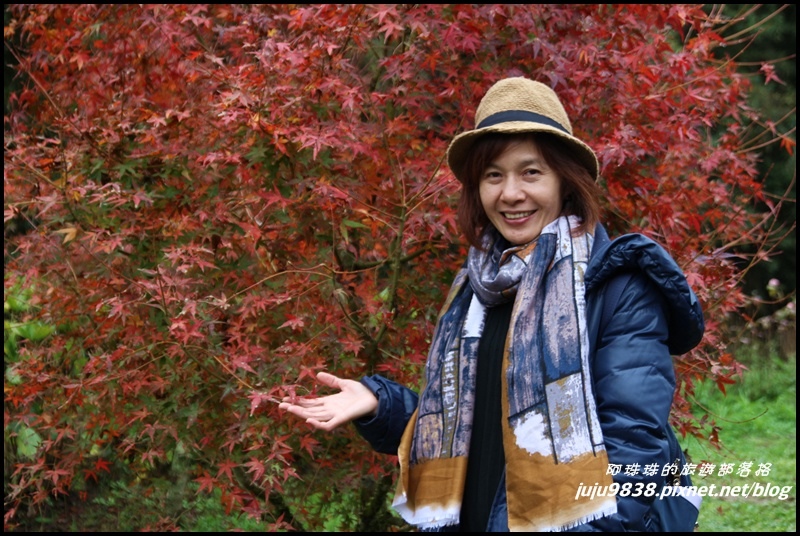 杉林溪40.JPG 杉林溪40.JPG