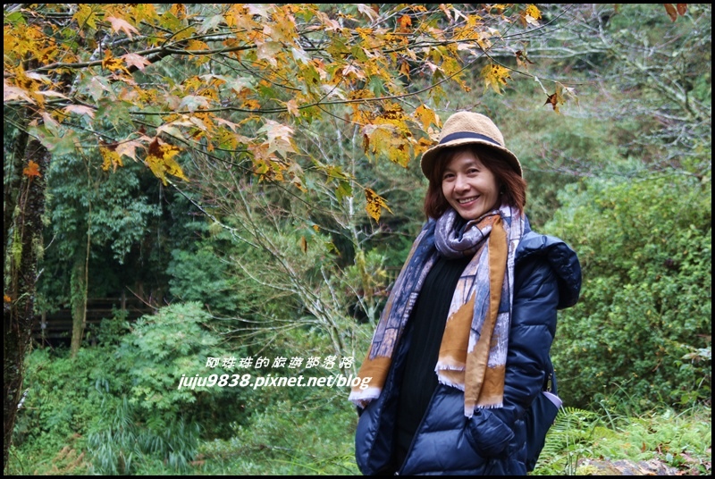 杉林溪42.JPG 杉林溪42.JPG