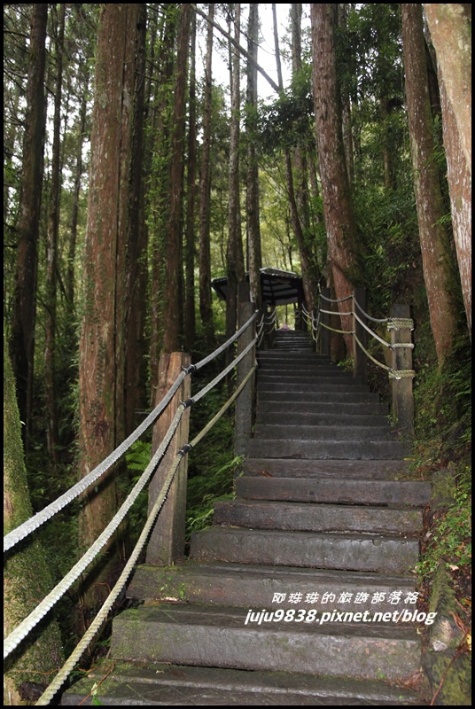 杉林溪44.JPG 杉林溪44.JPG