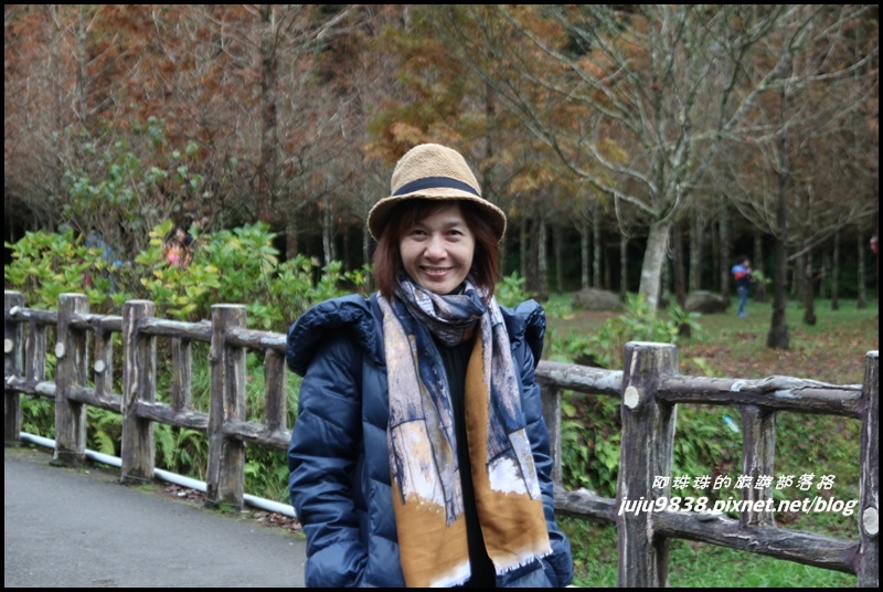 杉林溪49.JPG 杉林溪49.JPG