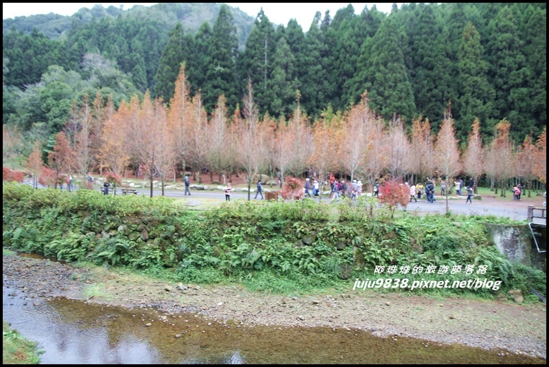 杉林溪48.JPG 杉林溪48.JPG