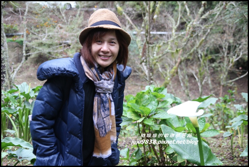 杉林溪53.JPG 杉林溪53.JPG