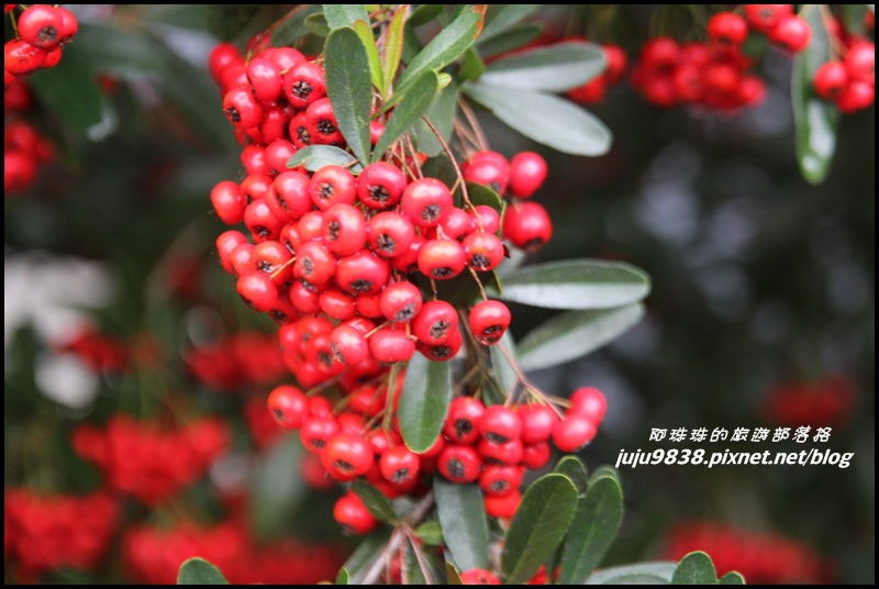 杉林溪55.JPG 杉林溪55.JPG