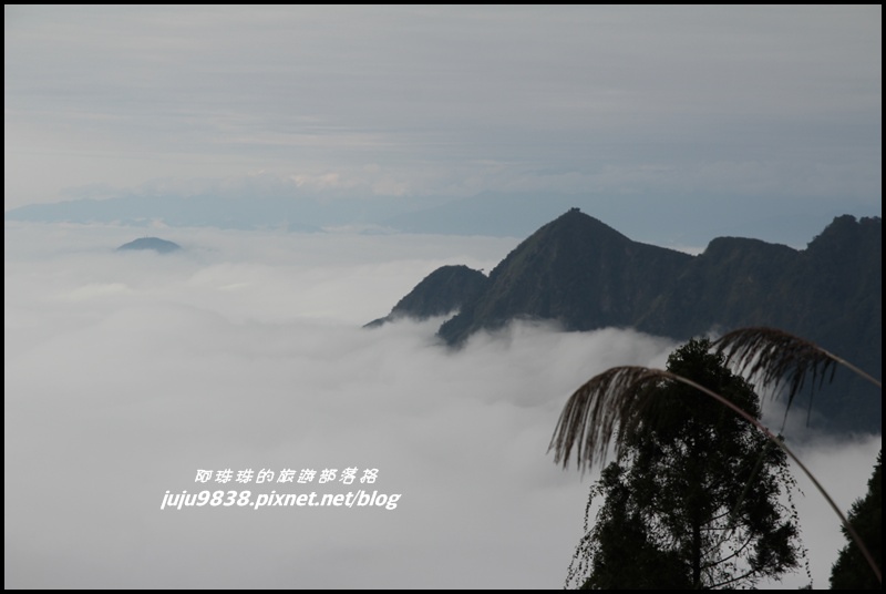 杉林溪57.JPG 杉林溪57.JPG