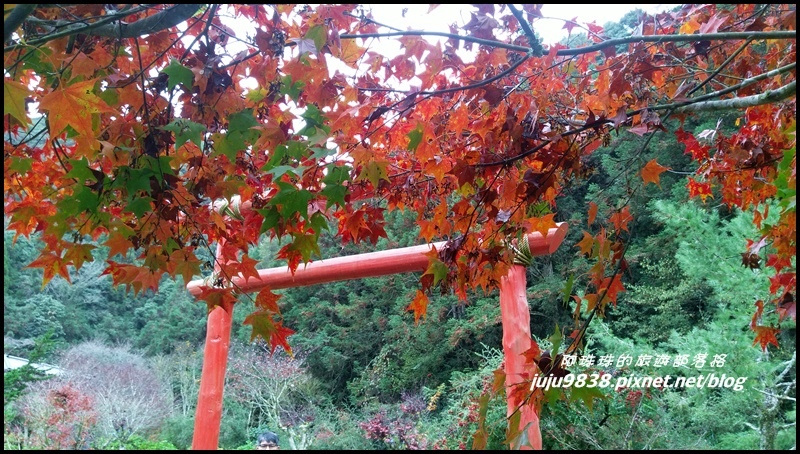 杉林溪60.jpg 杉林溪60.jpg