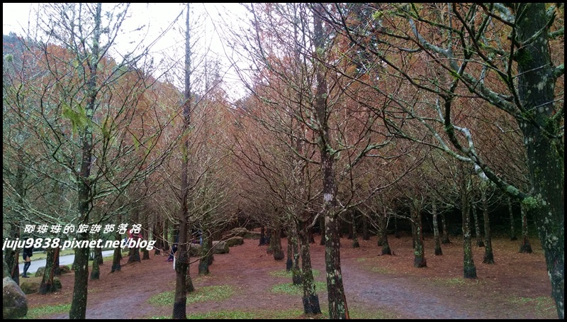 杉林溪63.jpg 杉林溪63.jpg