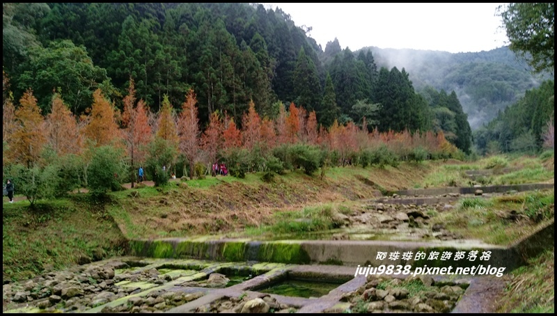 杉林溪65.jpg 杉林溪65.jpg