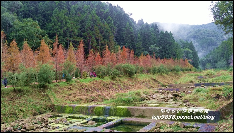 杉林溪66.jpg 杉林溪66.jpg