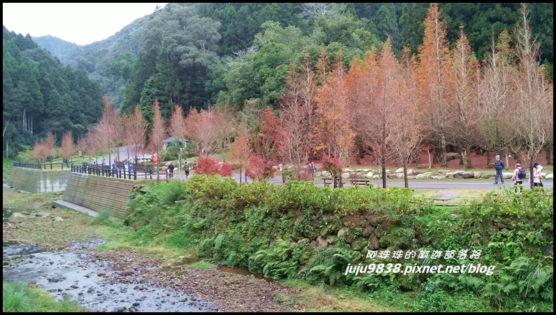 杉林溪67.jpg 杉林溪67.jpg