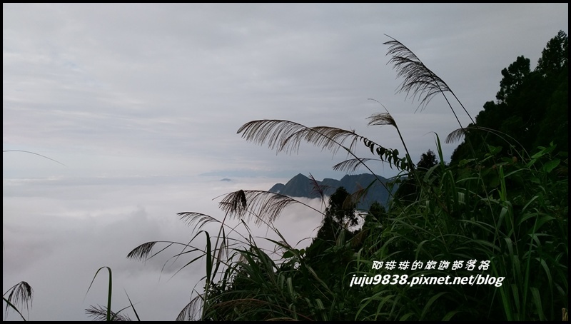 杉林溪69.jpg 杉林溪69.jpg