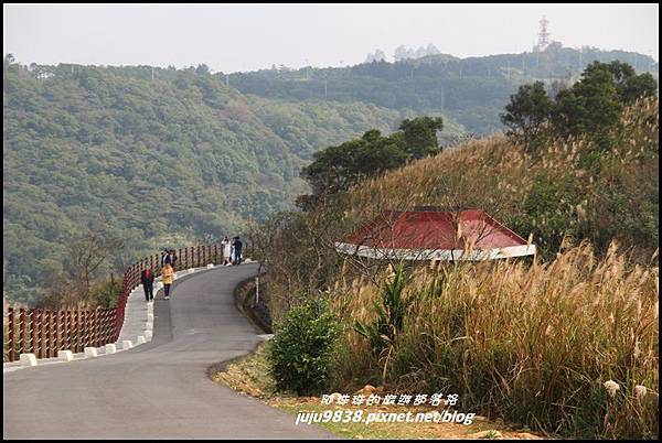 秀才登山步道5.JPG