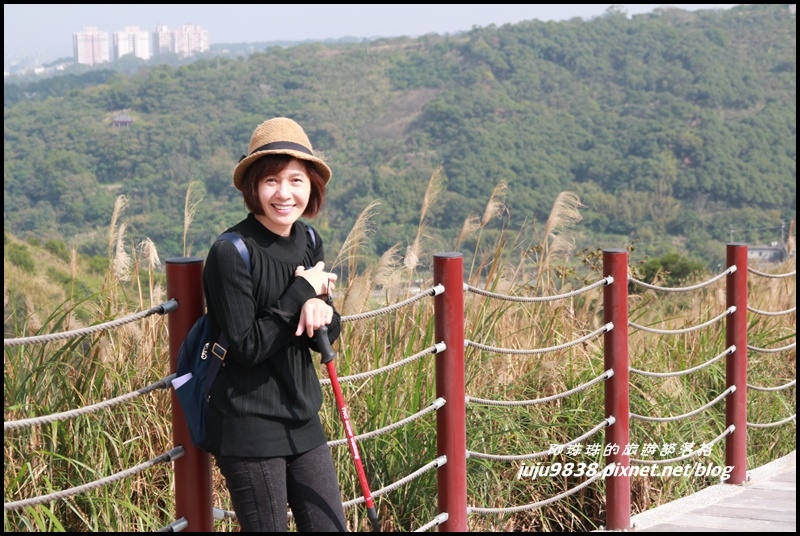 秀才登山步道7.JPG 秀才登山步道7.JPG