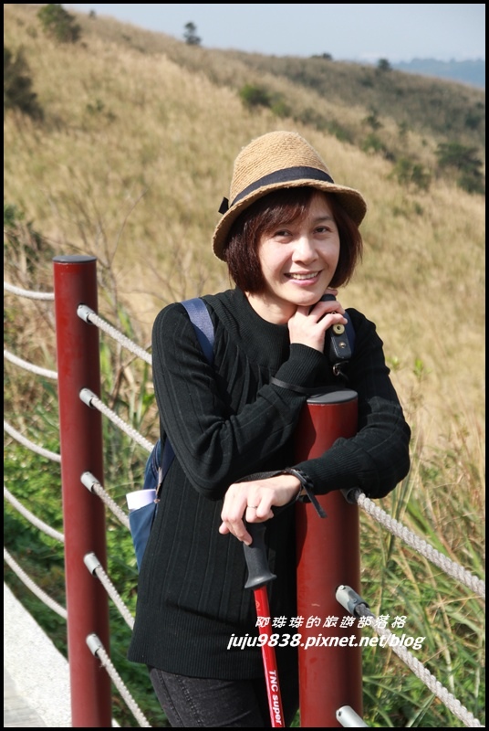 秀才登山步道10.JPG 秀才登山步道10.JPG