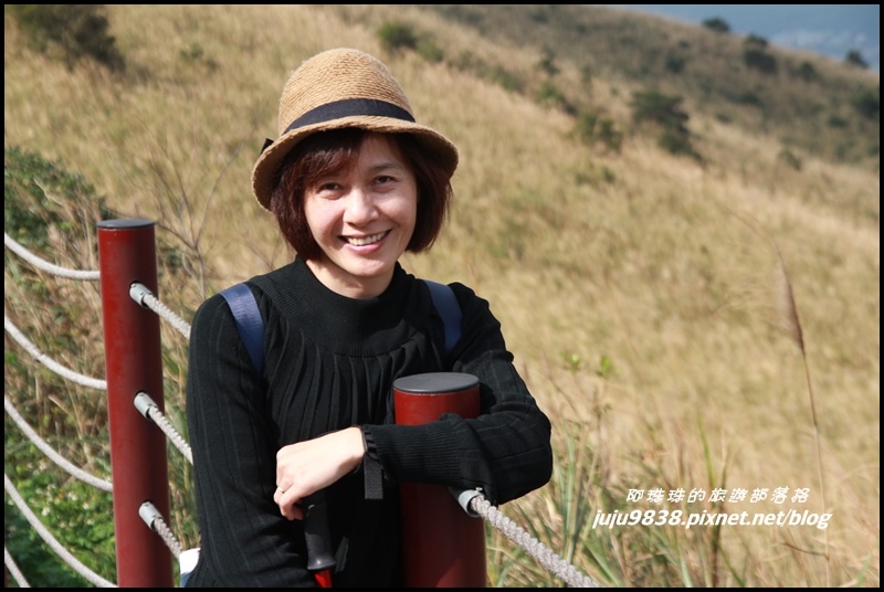 秀才登山步道9.JPG 秀才登山步道9.JPG