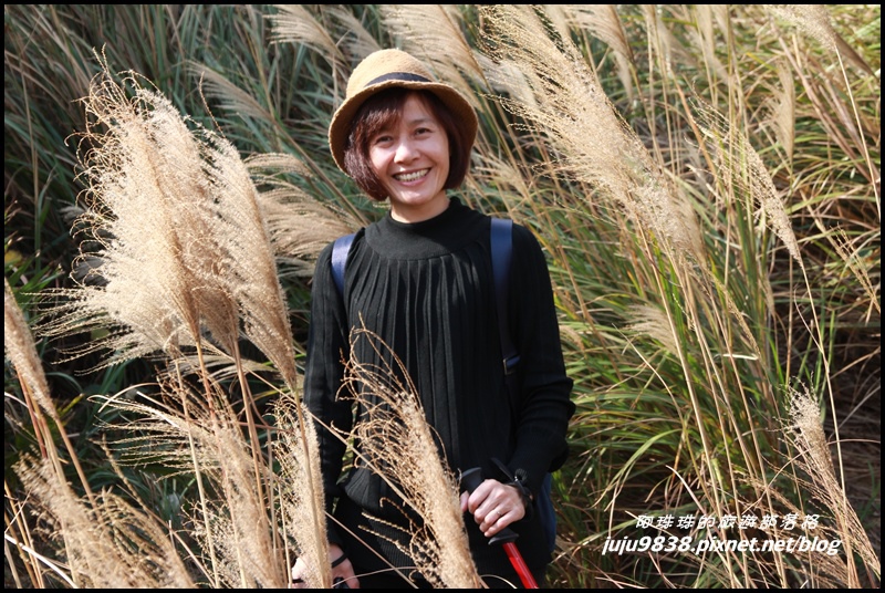 秀才登山步道16.JPG 秀才登山步道16.JPG