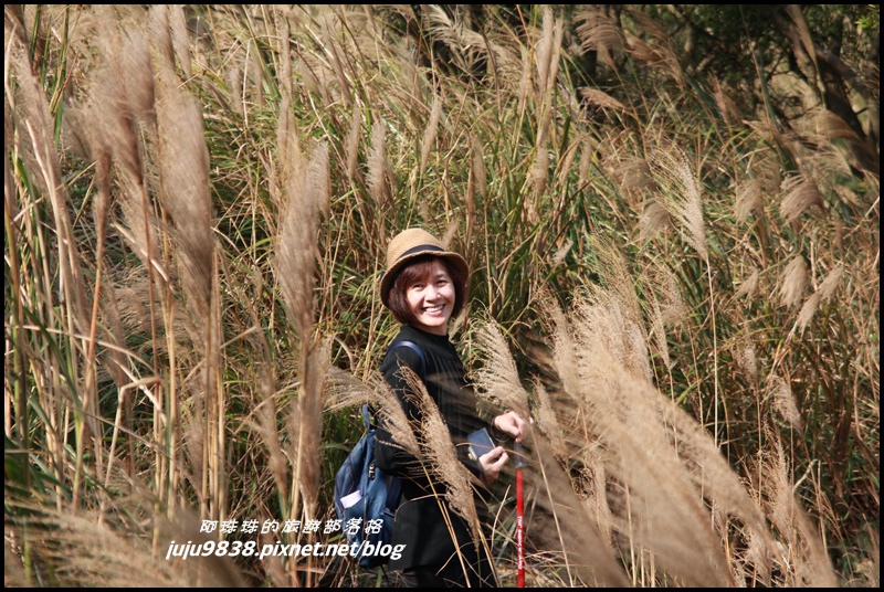 秀才登山步道17.JPG 秀才登山步道17.JPG