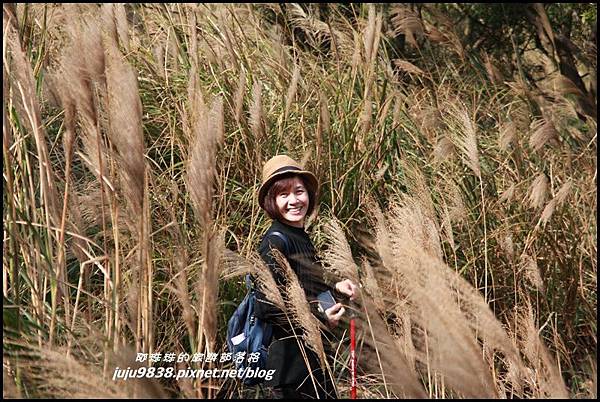 秀才登山步道17.JPG