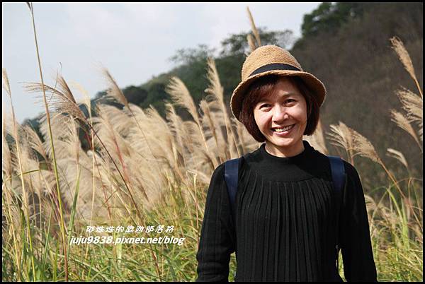 秀才登山步道20.JPG