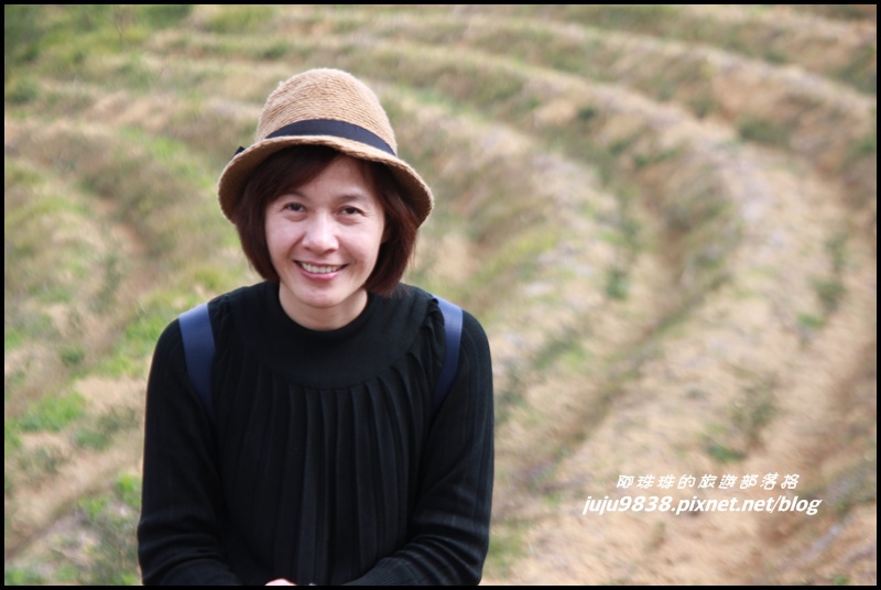 秀才登山步道19.JPG 秀才登山步道19.JPG