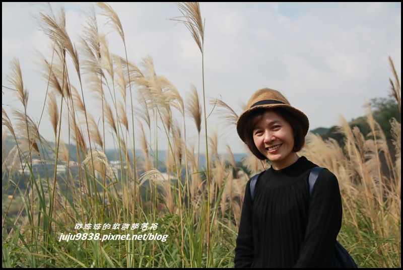 秀才登山步道21.JPG 秀才登山步道21.JPG