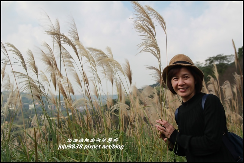 秀才登山步道22.JPG 秀才登山步道22.JPG