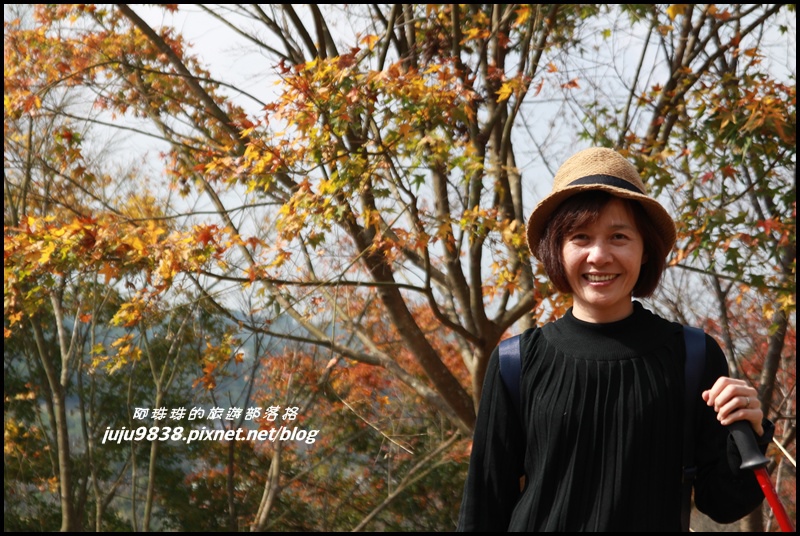 秀才登山步道23.JPG 秀才登山步道23.JPG