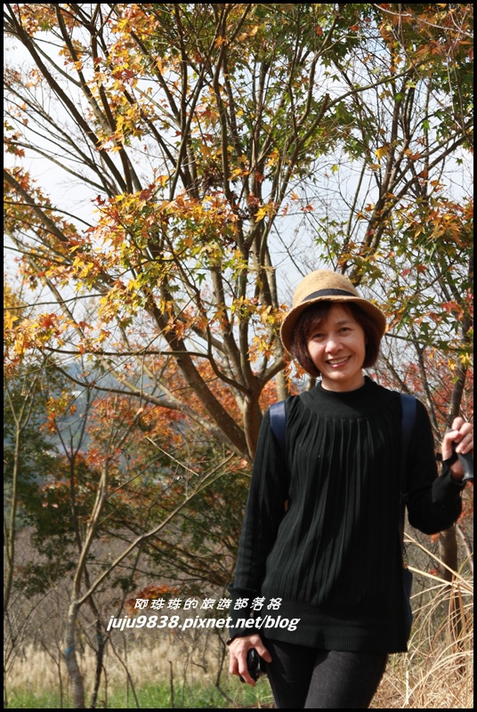 秀才登山步道24.JPG 秀才登山步道24.JPG