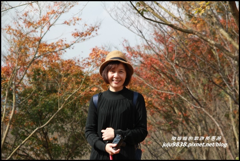 秀才登山步道25.JPG 秀才登山步道25.JPG