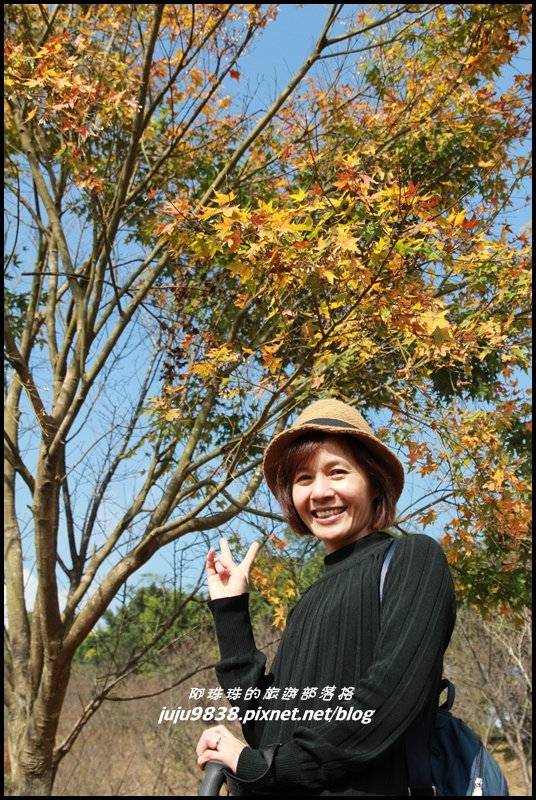 秀才登山步道26.JPG 秀才登山步道26.JPG