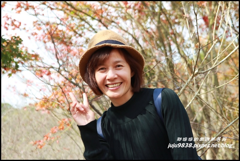 秀才登山步道27.JPG 秀才登山步道27.JPG