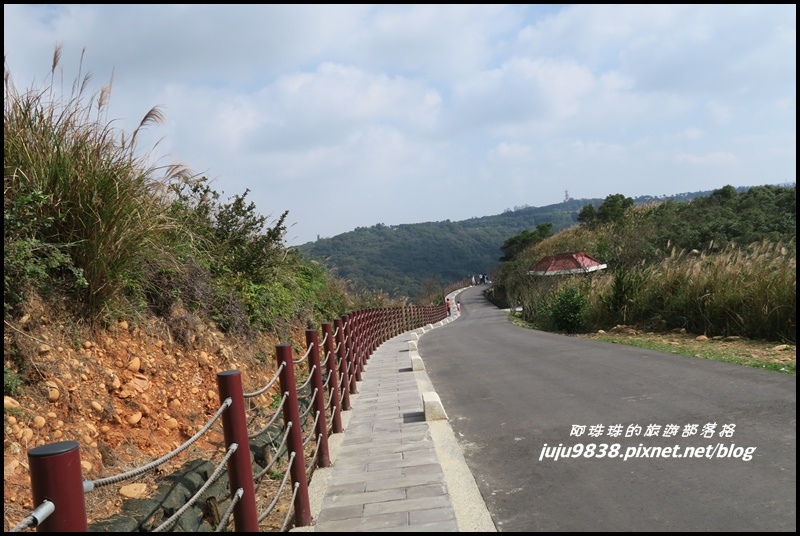 秀才登山步道36.JPG