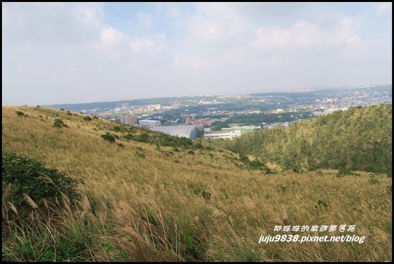 秀才登山步道39.JPG