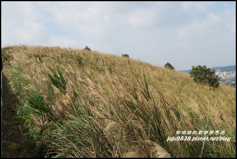 秀才登山步道38.JPG