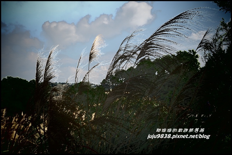 秀才登山步道49.JPG 秀才登山步道49.JPG