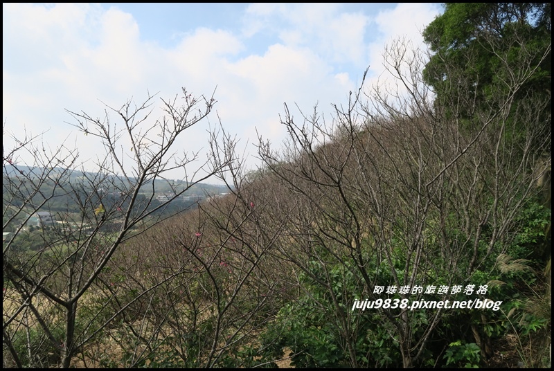 秀才登山步道52.JPG 秀才登山步道52.JPG