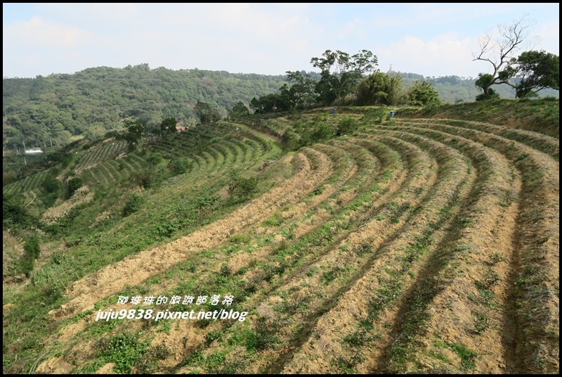 秀才登山步道53.JPG