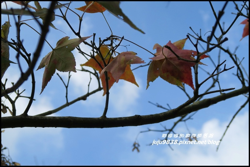 秀才登山步道56.JPG 秀才登山步道56.JPG