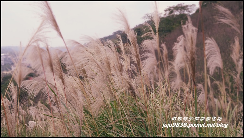 秀才登山步道57.JPG