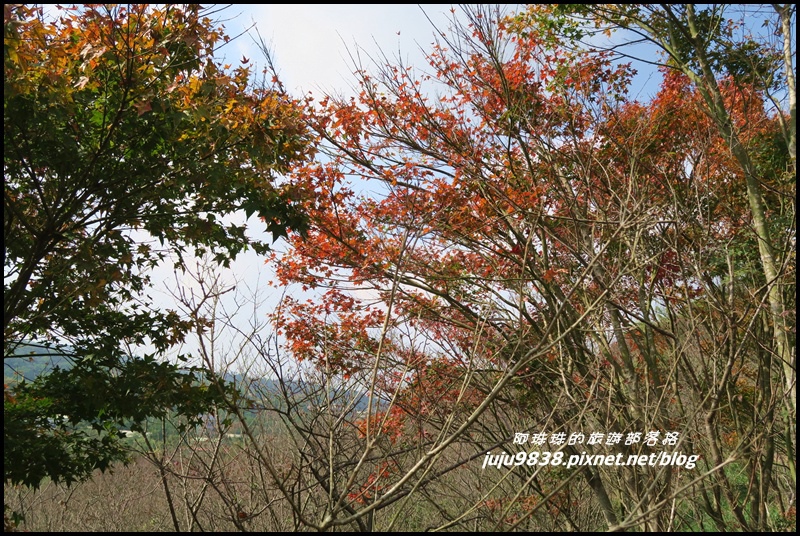 秀才登山步道64.JPG