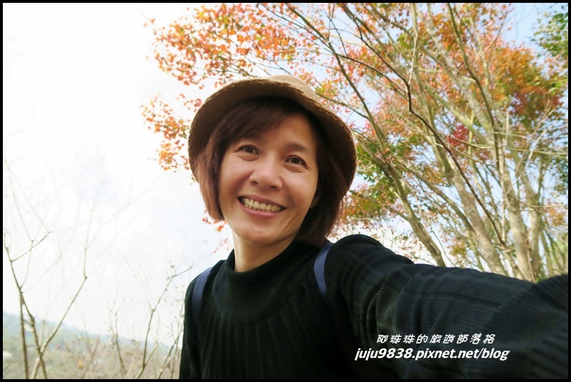 秀才登山步道65.JPG 秀才登山步道65.JPG