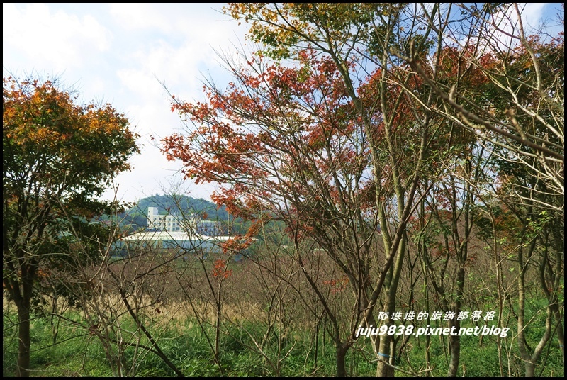 秀才登山步道66.JPG