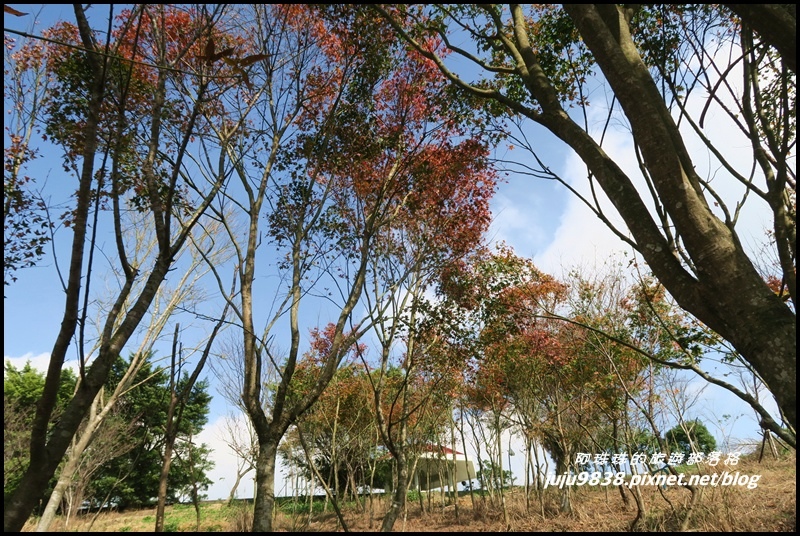 秀才登山步道68.JPG 秀才登山步道68.JPG