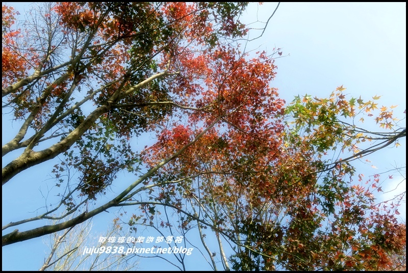秀才登山步道70.JPG 秀才登山步道70.JPG