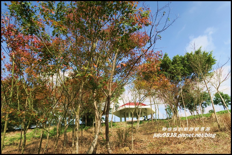 秀才登山步道71.JPG 秀才登山步道71.JPG