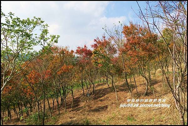 秀才登山步道74.JPG